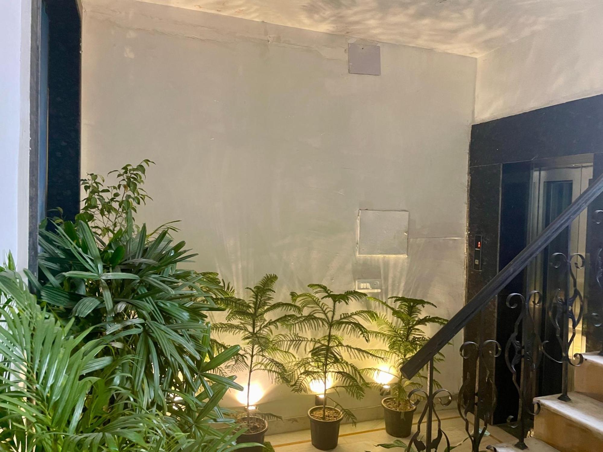 Lime Boutique B&B Gk-1 At Kailash Colony Metro , Greater Kailash Near Eros Hotel Nehru Place New Delhi Eksteriør bilde